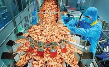 Xuất khẩu tôm tiến tới mục tiêu 10 tỷ USD