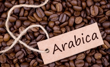 Lý do giá cà phê Arabica tiếp tục tăng kỷ lục