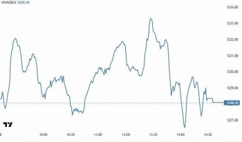 Nhận định chứng khoán tuần 18-22/11: Thị trường hồi phục ngoạn mục