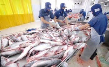 Xuất khẩu cá tra của Việt Nam sang thị trường Hoa Kỳ tăng mạnh tới 65%