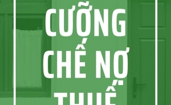 Nghệ An: Công ty Vật liệu xây dựng và Xây lắp thương mại BMC bị cưỡng chế thuế