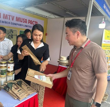 Hà Nội: Phấn đấu 100% siêu thị không sử dụng túi nilon khó phân hủy vào năm 2025