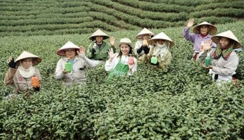 Từ