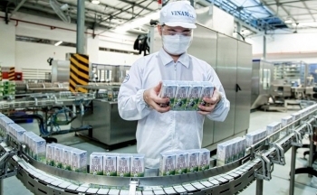 Giá trị thương hiệu quốc gia Việt Nam liên tục thăng hạng