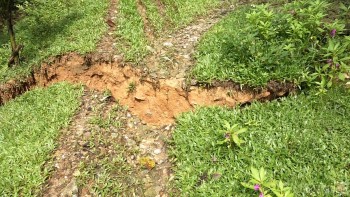 Quảng Nam: Xuất hiện vết nứt dài, 10 hộ dân phải di dời khẩn cấp