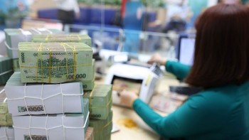 Thúc đẩy tài chính xanh: Việt Nam trên hành trình phát triển bền vững