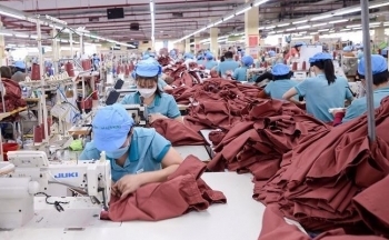 Xuất khẩu đối mặt thách thức mới từ chính sách xanh của EU