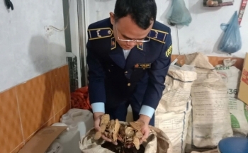 Lai Châu: Xử phạt hộ kinh doanh dược liệu không đăng ký kinh doanh