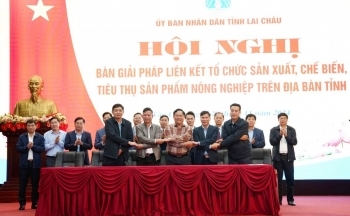 Lai Châu: Tìm giải pháp liên kết tổ chức sản xuất, chế biến tiêu thụ sản phẩm nông nghiệp