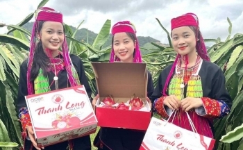 Bài 2: Thúc đẩy bình đẳng giới thông qua hỗ trợ các hợp tác xã do phụ nữ điều hành