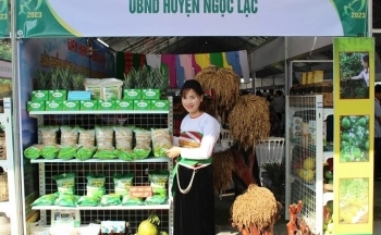 Thanh Hóa phấn đấu hoàn thành các mục tiêu xây dựng nông thôn mới, nâng cao đời sống người dân