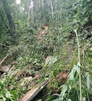 Quảng Nam: Huyện Nam Trà My xuất hiện sạt lở sau dư chấn động đất