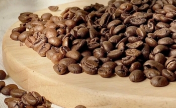 Lâm Đồng: Hội nhập kinh tế quốc tế để đa dạng hoá thị trường xuất khẩu