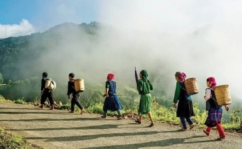 Dự báo thời tiết hôm nay 3/12/2024: Bắc Bộ trời rét, Nam Bộ có mưa rào rải rác