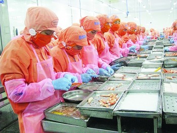 Số doanh nghiệp thành lập mới trong 11 tháng giảm 0,5% so với cùng kỳ năm trước