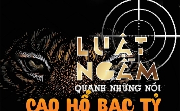 Thực hư thị trường cao hổ bạc tỷ - Bài 1: Những toán người bí ẩn trong ngôi nhà cổ