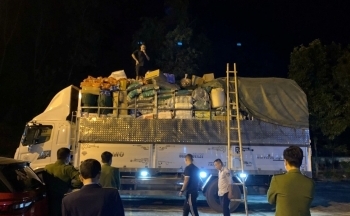 Hòa Bình: Xử phạt lái xe chở 900kg hạt hướng dương không rõ nguồn gốc