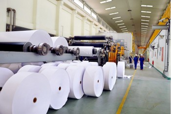 Việt Nam chi hơn 1,8 tỷ USD để nhập khẩu giấy