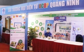 Thương mại điện tử Quảng Ninh: Bước tiến mạnh mẽ trên hành trình số hóa