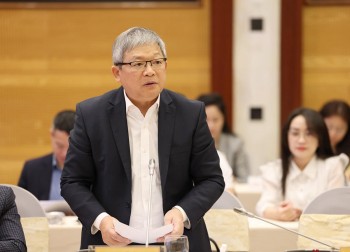 Thông tin mới nhất về các đại án Phúc Sơn, Thuận An, vụ Công ty cây xanh Công Minh