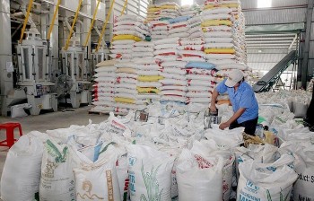 Xuất cấp hơn 619 tấn gạo hỗ trợ 3 địa phương bị ảnh hưởng bão số 3