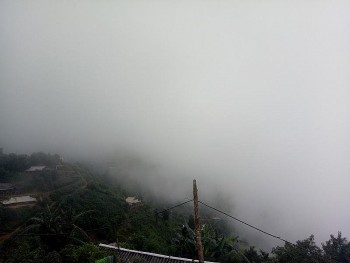 Dự báo thời tiết hôm nay 11/12/2024: Bắc Bộ đêm và sáng trời rét, Tây Nguyên có mưa to