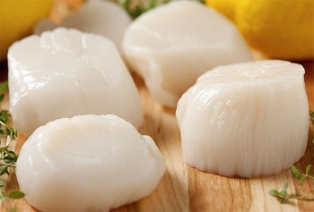 Xuất khẩu sò điệp của Việt Nam tăng trưởng mạnh