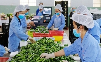 Anh gia nhập CPTPP: 'Luồng gió mới' thúc đẩy thương mại Việt Nam - Vương quốc Anh