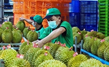 Xuất khẩu rau quả Việt Nam tăng ‘phi mã’ gần 7 tỷ USD