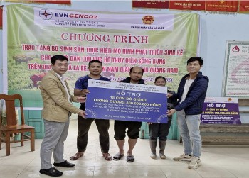 Công ty Thủy điện Sông Bung trao tặng 30 con bò giống cho hộ nghèo tại tỉnh Quảng Nam