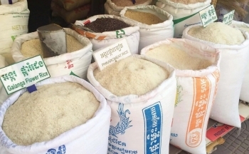 Thị trường gạo xuất khẩu châu Á biến động trái chiều