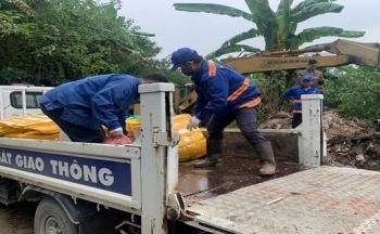 Hòa Bình: Tiêu hủy gần 1 tấn nội tạng không rõ nguồn gốc, xuất xứ