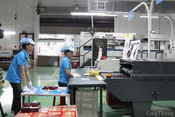 Đà Nẵng: Thưởng Tết Nguyên đán Ất Tỵ 2025 cao nhất 700 triệu đồng