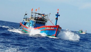 Thời tiết biển hôm nay 30/12: Trường Sa biển động mạnh