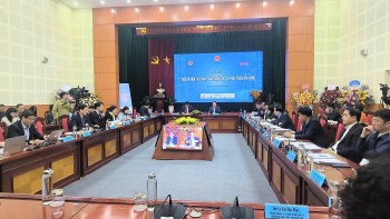 Nuôi dưỡng nguồn thu thuế vì nền tài chính lành mạnh của quốc gia