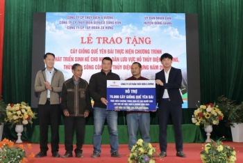 Công ty Thủy điện A Vương trao 70.000 cây quế giống cho người dân lưu vực hồ thủy điện A Vương