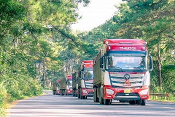 Hành trình định vị thương hiệu THILOGI