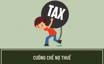 Cần Thơ: Cưỡng chế thuế đối với Công ty Cổ phần Trung Sơn
