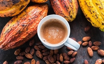 Giá ca cao lập đỉnh mới ảnh hưởng thế nào đến ngành sản xuất chocolate?