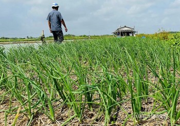 Thời tiết hôm nay 27/3: Hà Nội đêm có mưa, ngày nắng