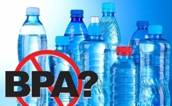 EU cấm BPA: Thách thức lớn cho doanh nghiệp xuất khẩu Việt Nam