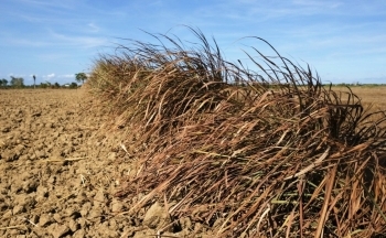 Dự báo thời tiết hôm nay 23/12/2024: Bắc Bộ trời hanh khô, Nam Bộ có mưa