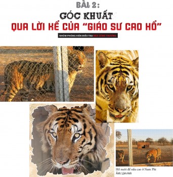Thực hư thị trường cao hổ bạc tỷ- Bài 2: Góc khuất qua lời kể của
