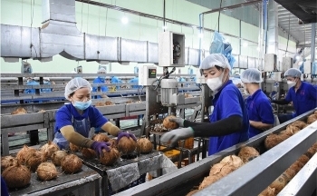 Ngành dừa Việt Nam: Vươn xa trên trường quốc tế