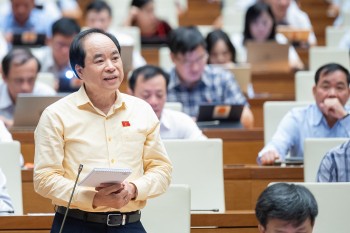 Nhiều cơ sở kỳ vọng kinh tế tăng trưởng cao trong 2025