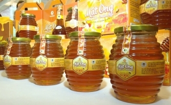 Đặc sản mật ong Tây Bắc 'phủ sóng' Sàn Việt