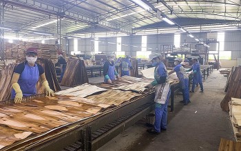 Tuyên Quang: Sản phẩm gỗ, đồ nội thất chiếm lĩnh thị trường