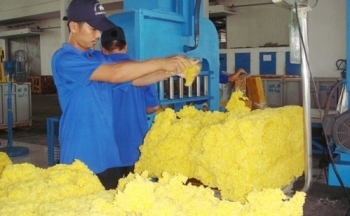Xuất khẩu cao su vượt mốc 3 tỷ USD, Trung Quốc là thị trường lớn nhất của ‘vàng trắng’ Việt Nam