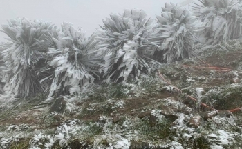 Dự báo thời tiết hôm nay 27/12/2024: Bắc Bộ rét về đêm và sáng sớm, Nam Bộ có mưa