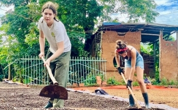 Dự báo giá cà phê ngày mai 28/12/2024: Giá cà phê trong nước quay đầu giảm